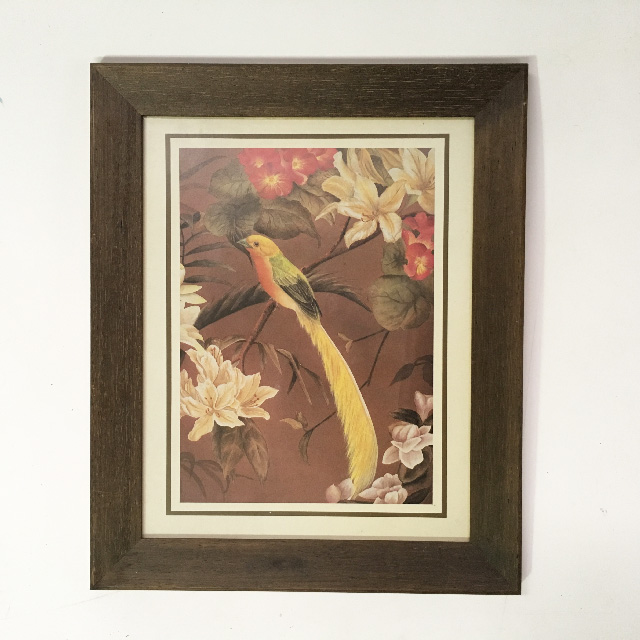 ARTWORK, Print (Small) - Botanical - Bird w Yellow Tail